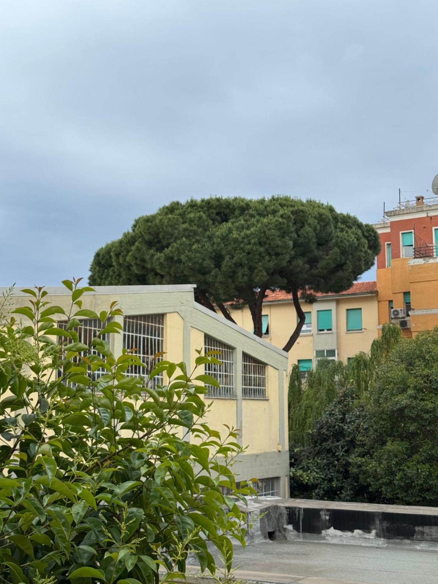 Affittacamere La Stazione * Livorno